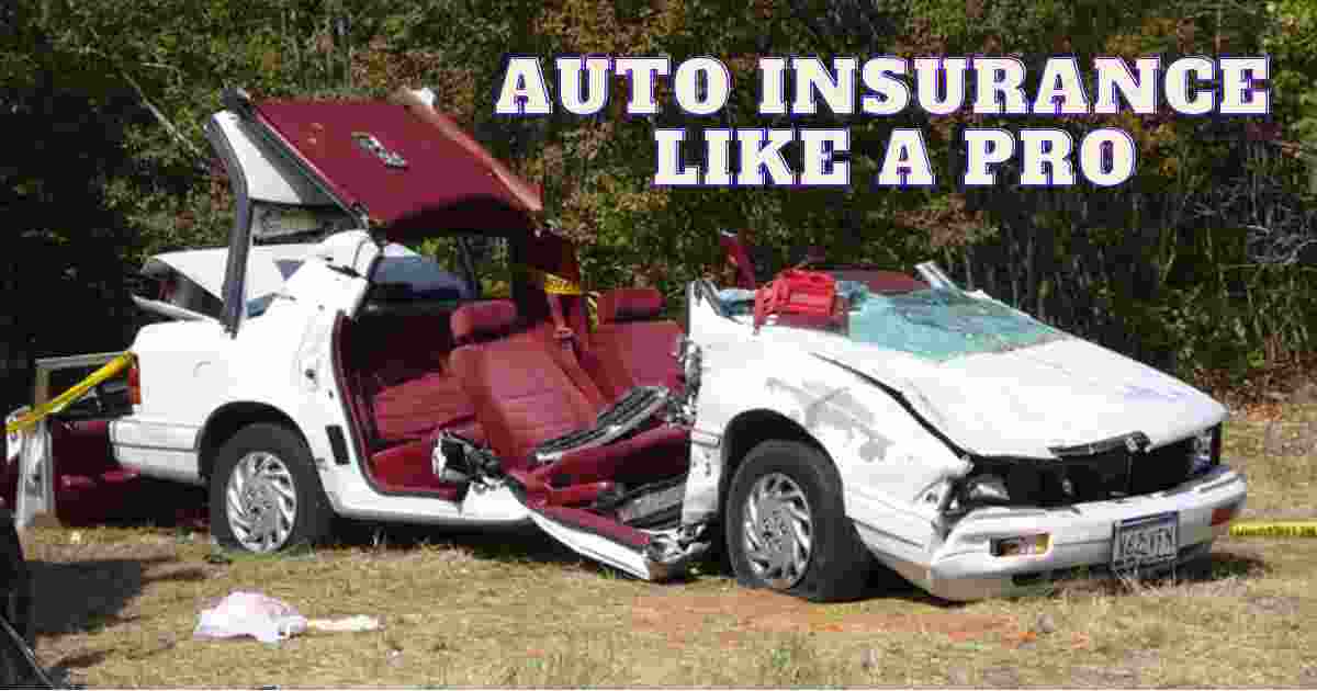 Auto Insurance like a Pro